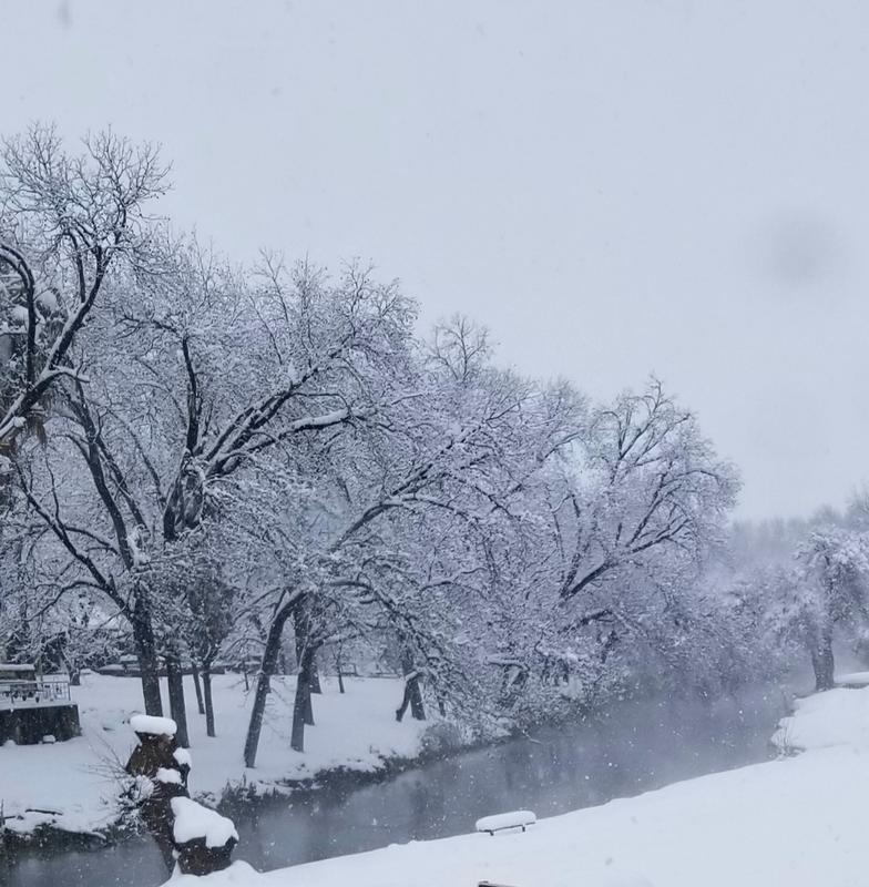 Winter Storm 2021.jpg